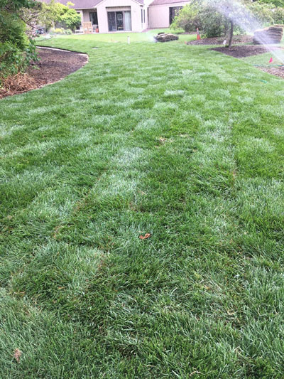 Hamilton Township NJ 08610 Sod, Grass Seed, Seeding & Turf Grass | Michael's Landscape Design