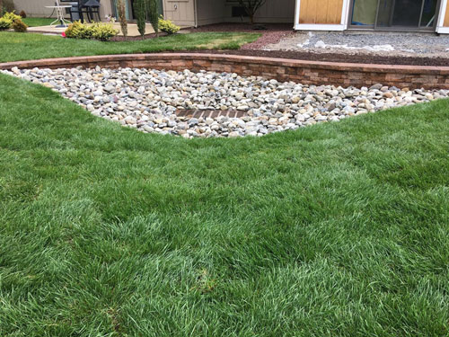 Mercer County NJ Sod, Grass Seed, Seeding & Turf Grass | Michael's Landscape Design